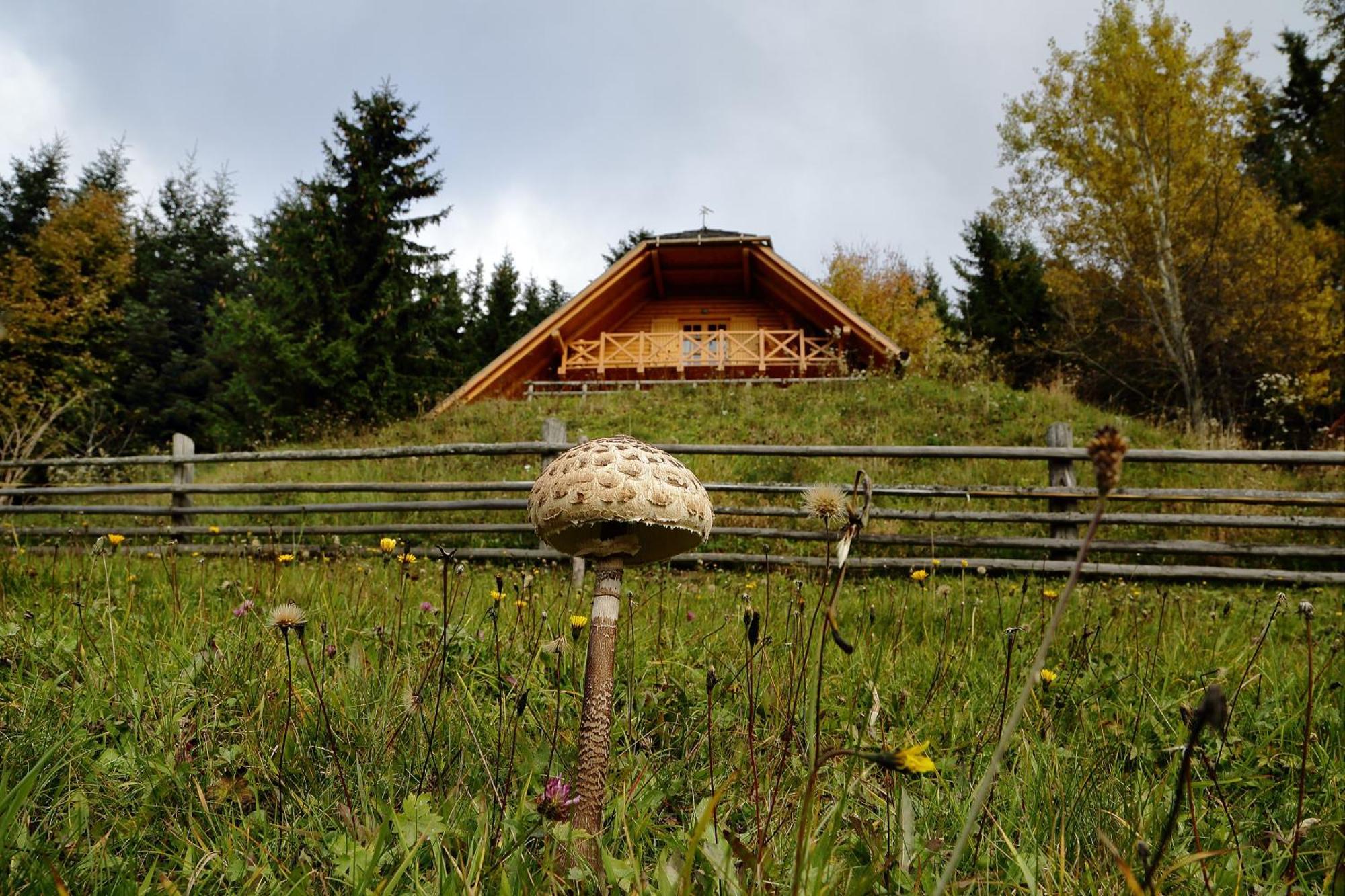 Charming Chalet Rogla Hudinja Exterior photo